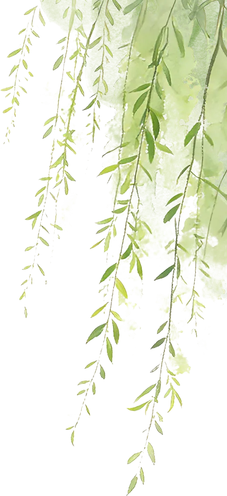 临洮县市场监督管理局 临洮县消费者协会2026年清明假期消费提示