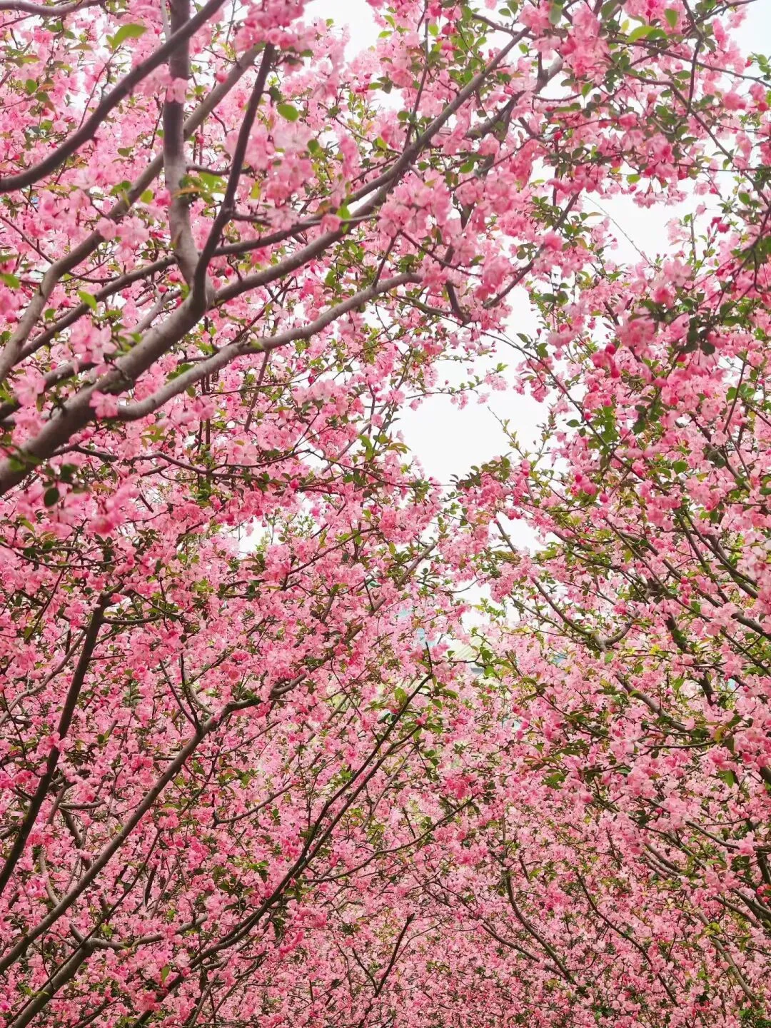 市场上窜下跳的一天又一天,我们该怎么办?