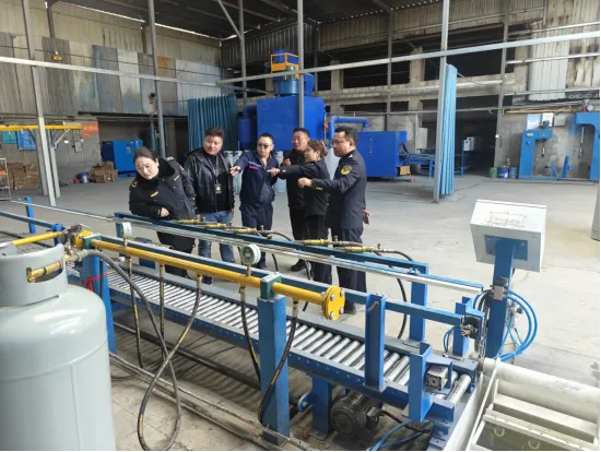 市、区两级市场监管部门联合开展市场监管领域安全生产专项检查