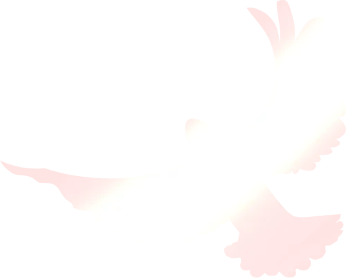 “青年有为·淬火逐梦”行动——市场营销小队以“直播+”赋能桃花季商旅文体健融合促消费