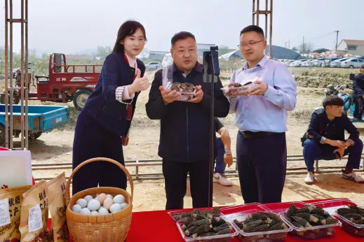 “青年有为·淬火逐梦”行动——市场营销小队以“直播+”赋能桃花季商旅文体健融合促消费