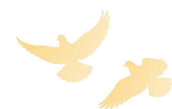 淮南市副市长陆晞率队督查节前市场监管工作