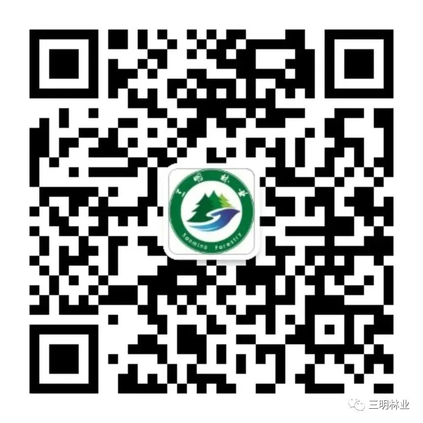 抢市场、赶订单,大田县这家竹木机械制造企业开足马力生产