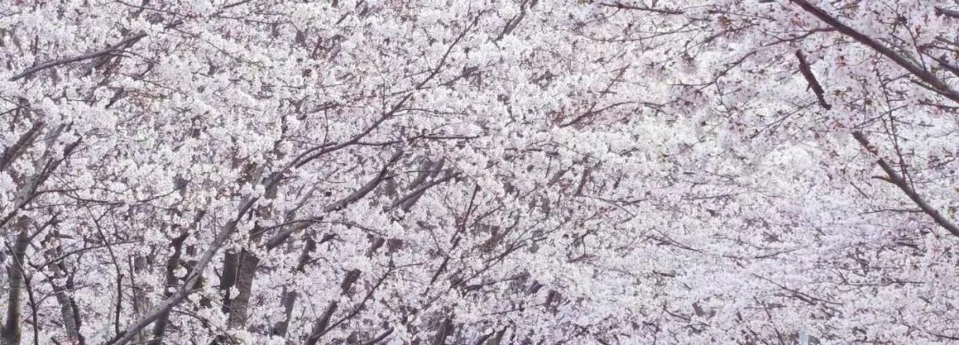 筑牢公平竞争防线 赋能文旅市场活力——市文化和旅游局举办第十二期“文旅思享汇”暨“处长讲业务”学习交流活动