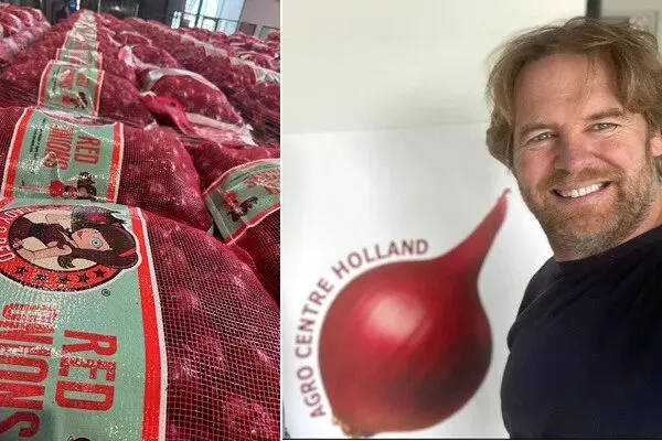 荷兰:“红洋葱出口终于开始回升;市场报价出现显著变化”