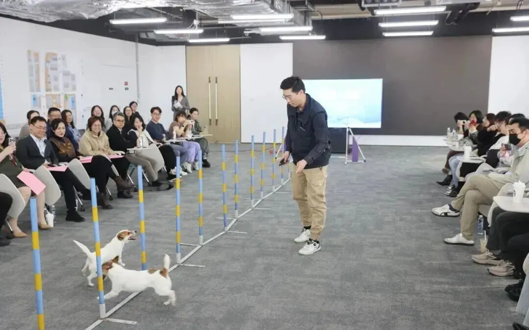 【园区资讯】3000亿宠物市场新风口,元宇宙街区发布“宠物友好公约十条”