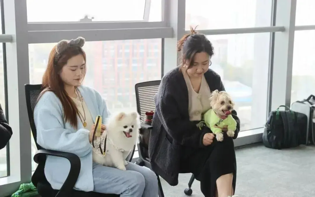 【园区资讯】3000亿宠物市场新风口,元宇宙街区发布“宠物友好公约十条”