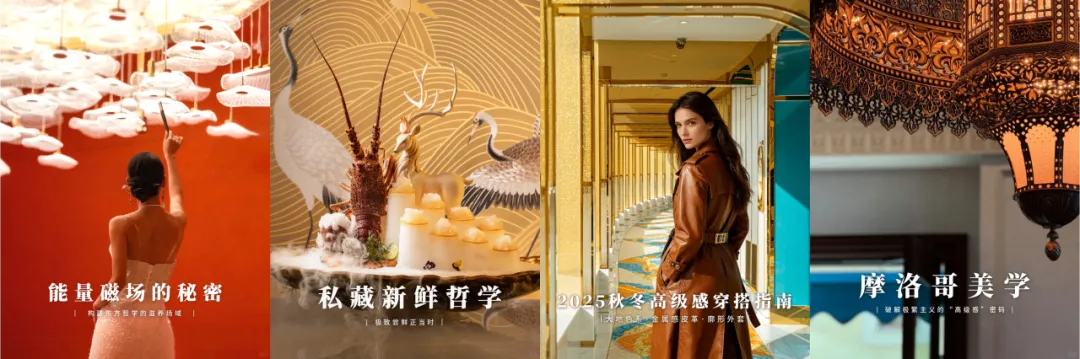 大湾区营销伙伴首选云智!限时GEO专属体验名额开放中