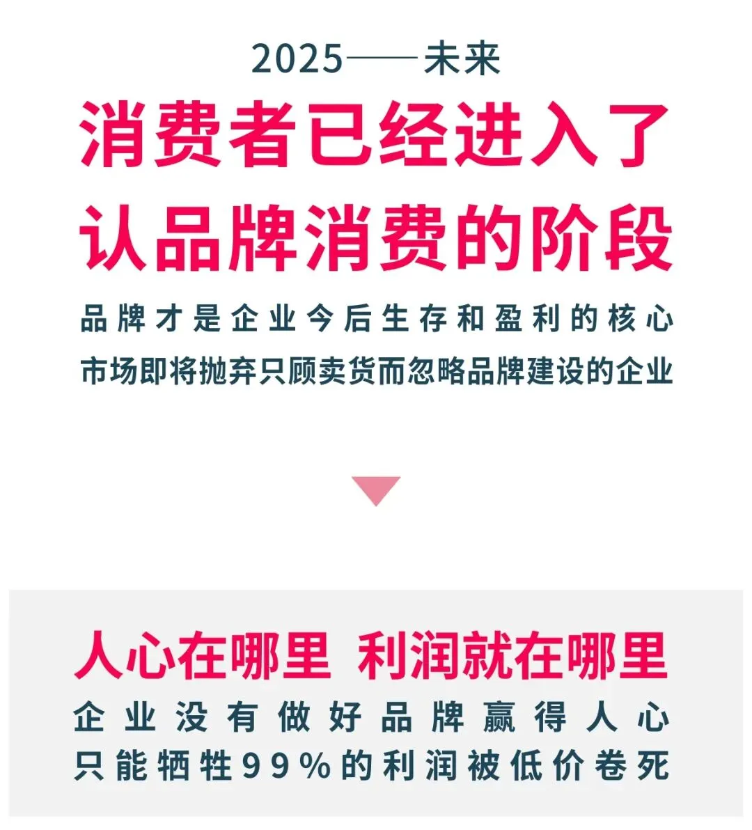 青云众营销咨询丨2025公司及服务案例介绍