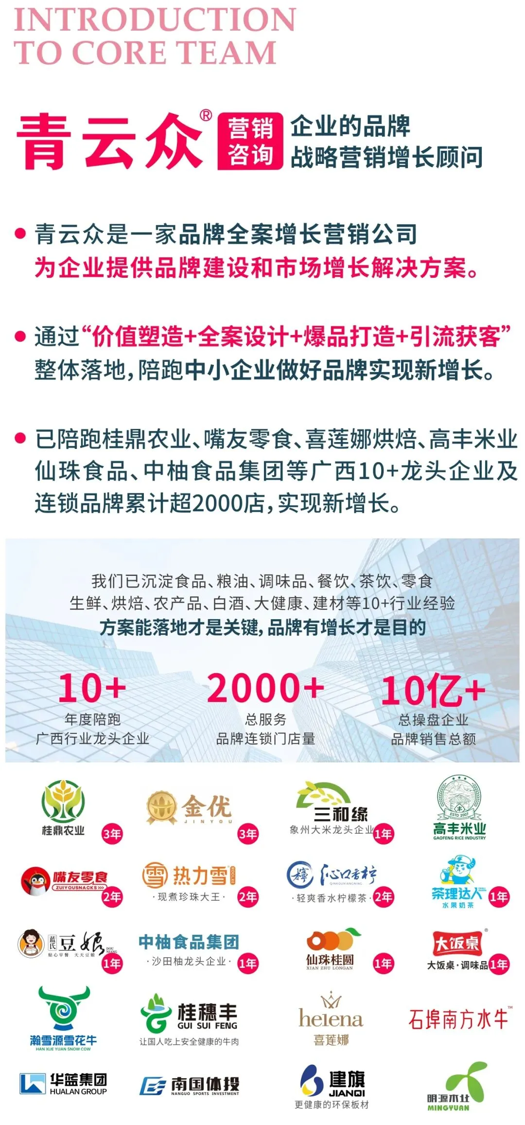 青云众营销咨询丨2025公司及服务案例介绍