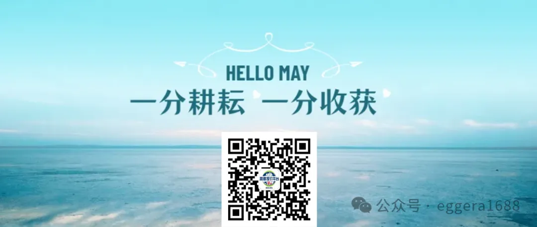 【鸡蛋报价】2026.4.4日全国鸡蛋市场深度分析报告