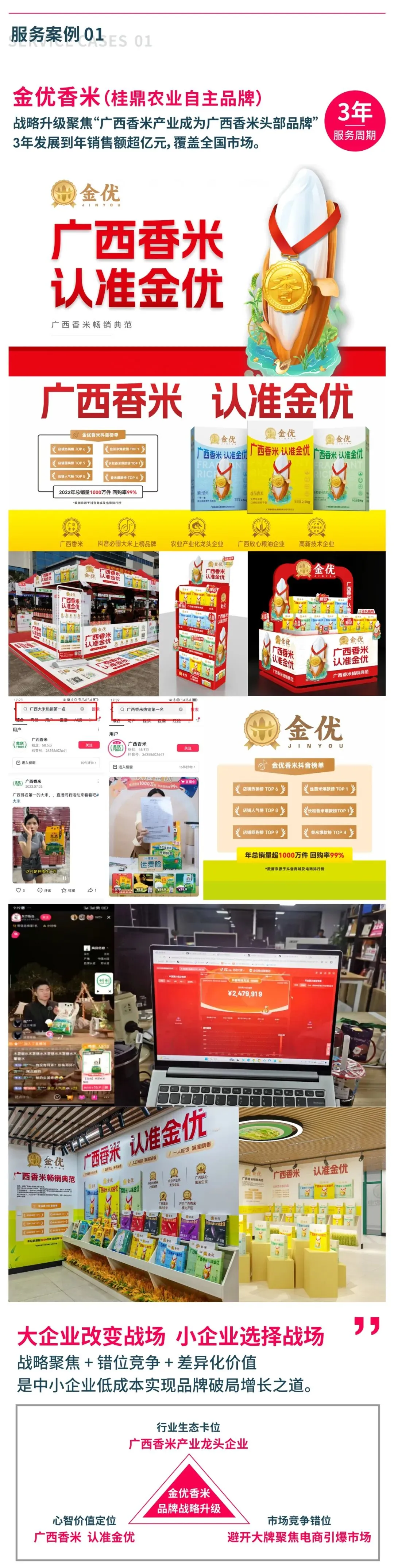 青云众营销咨询丨2025公司及服务案例介绍