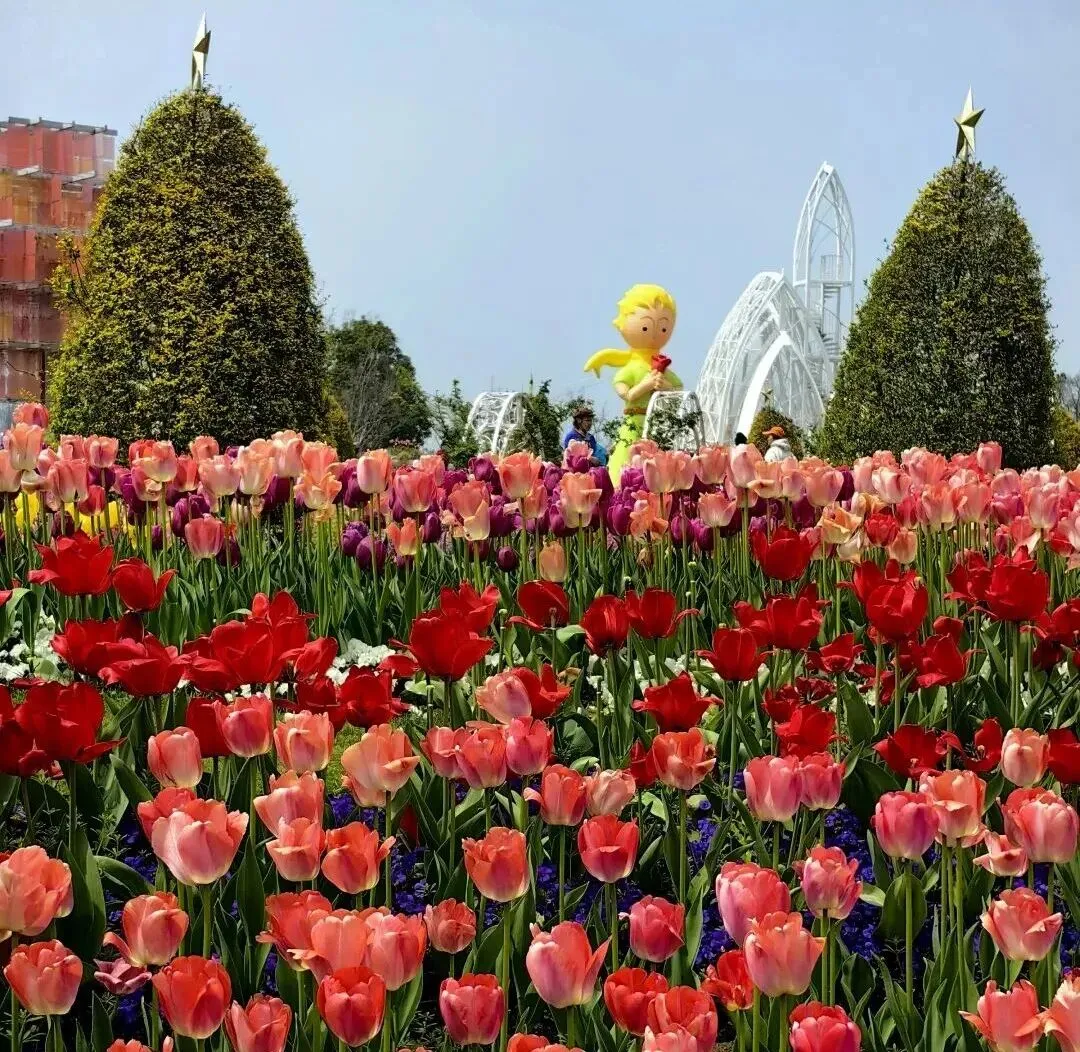 引爆流量→沉淀留量→转化销量:文旅营销破局的黄金三步!