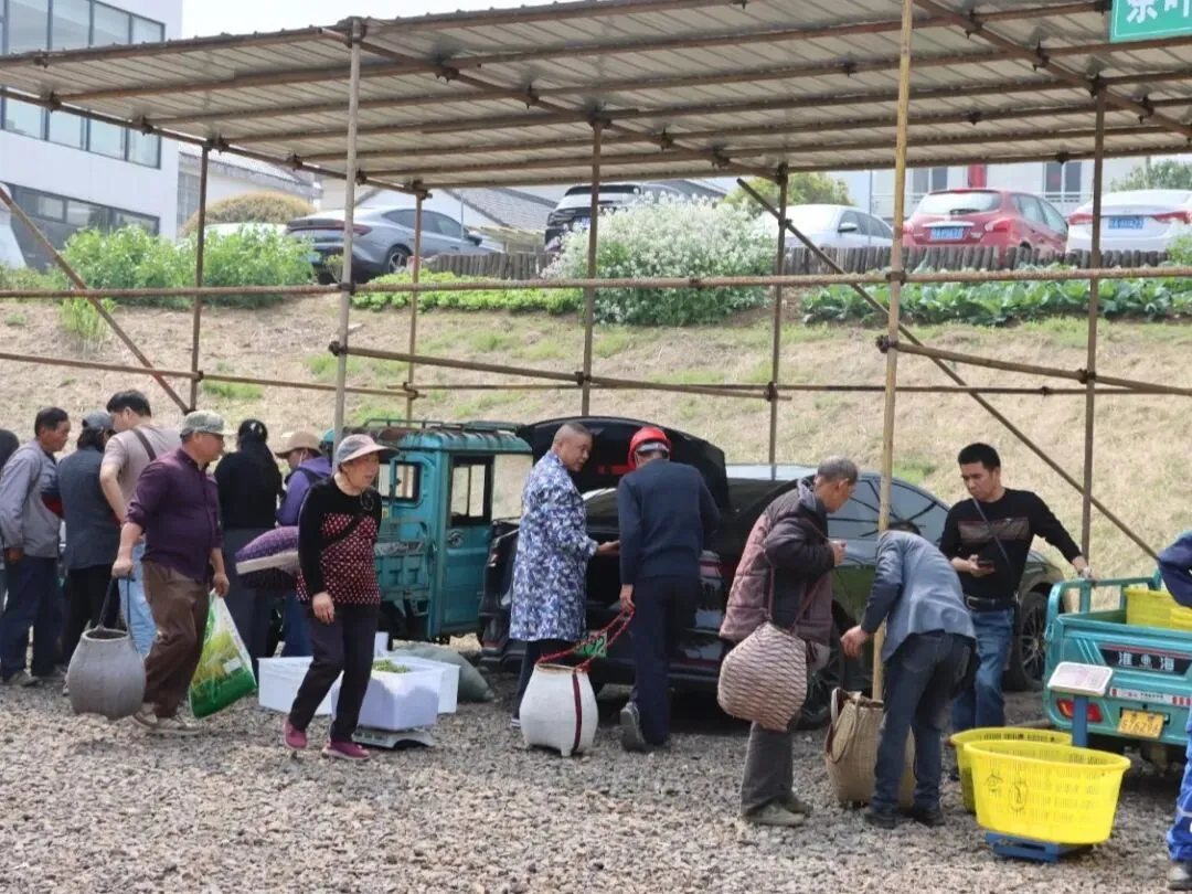 庐江这个村内市场,人气太“旺”了!