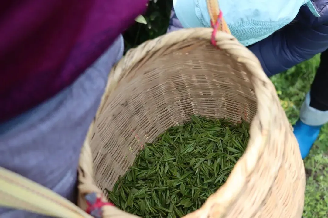 庐江这个村内市场,人气太“旺”了!