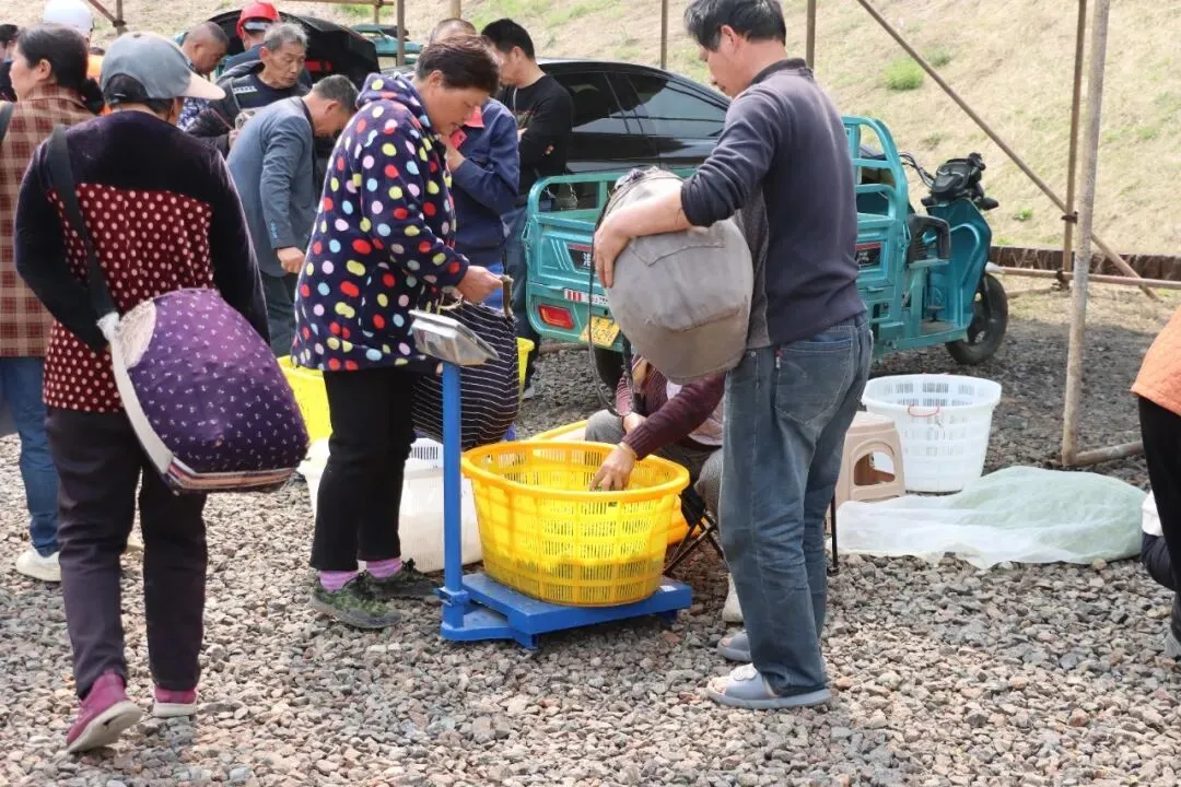 庐江这个村内市场,人气太“旺”了!