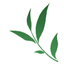 庐江这个村内市场,人气太“旺”了!