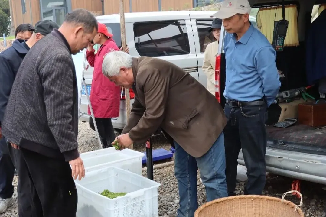庐江这个村内市场,人气太“旺”了!