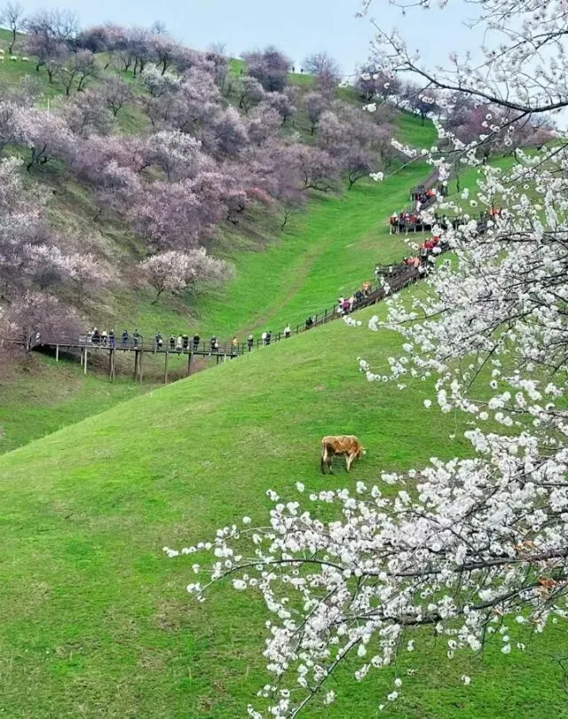 营销的最高境界:创造与引领-而非迎合与讨好