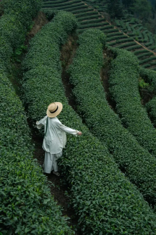 2026春季出行营销趋势洞察,文旅市场提前布局抢先节点