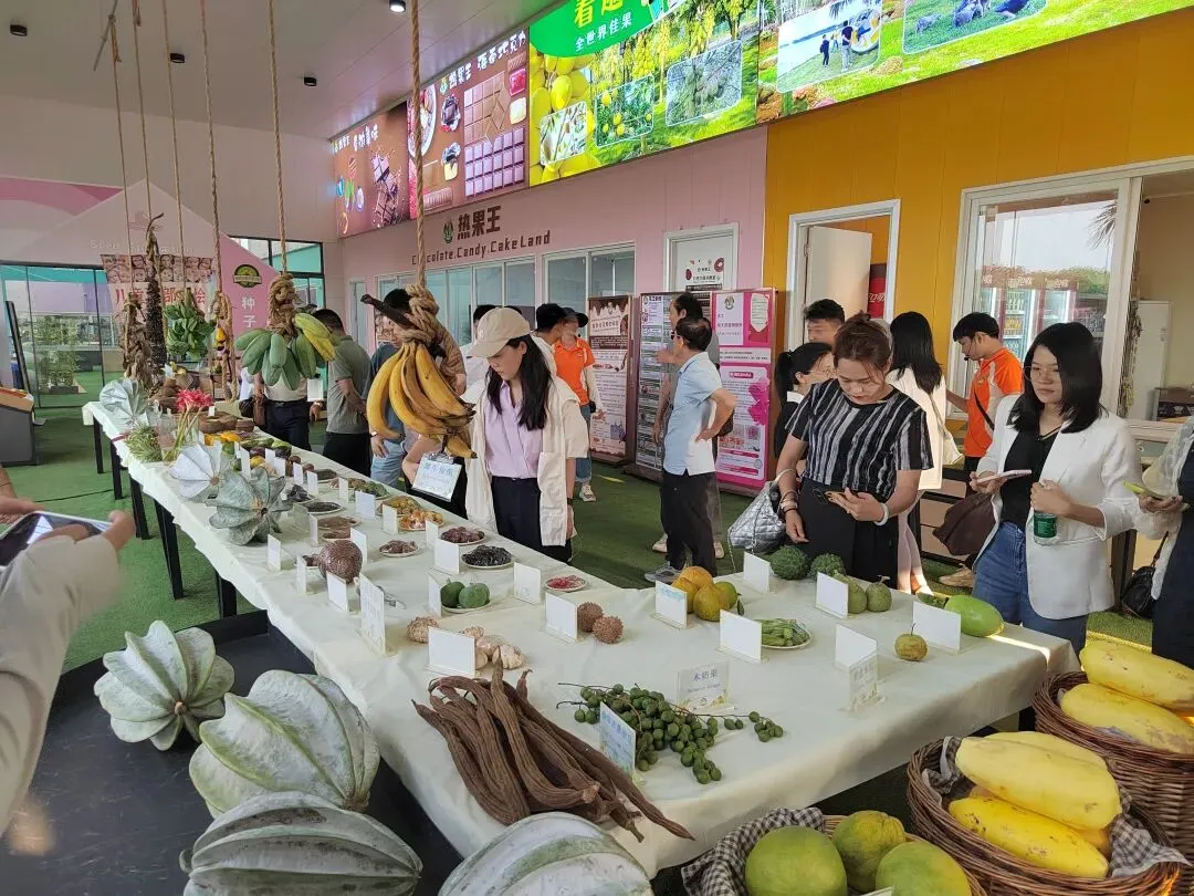 2026年全省旅游景区市场营销业务交流活动在琼海举行