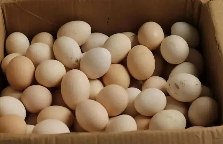 不出意外,4月起,鸡蛋市场将迎来4大变化,老百姓要早做准备