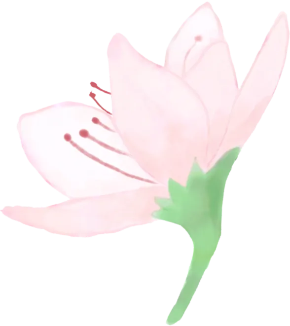 璞媄品牌&营销交流会圆满落幕