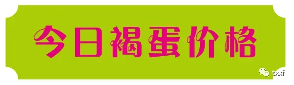 2026年4月4日黄冈市场行情