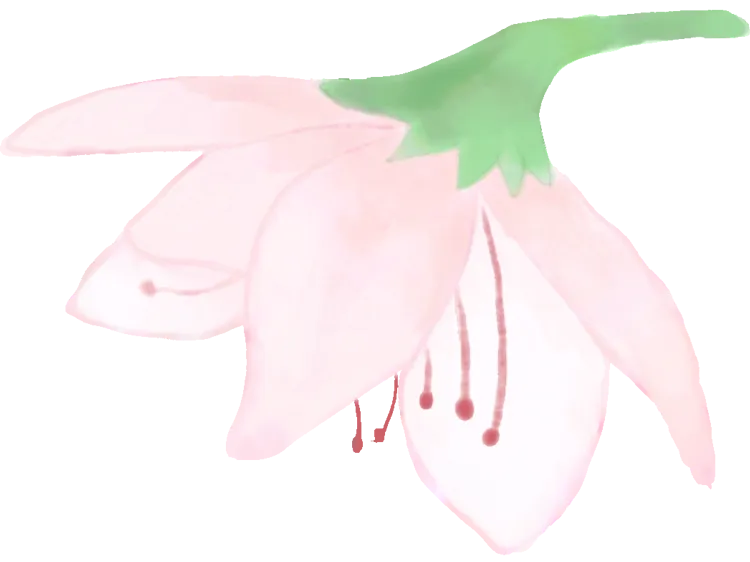 璞媄品牌&营销交流会圆满落幕