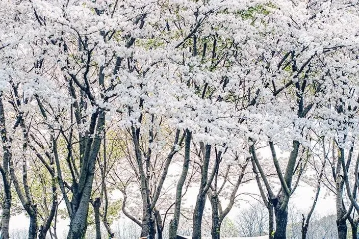 璞媄品牌&营销交流会圆满落幕