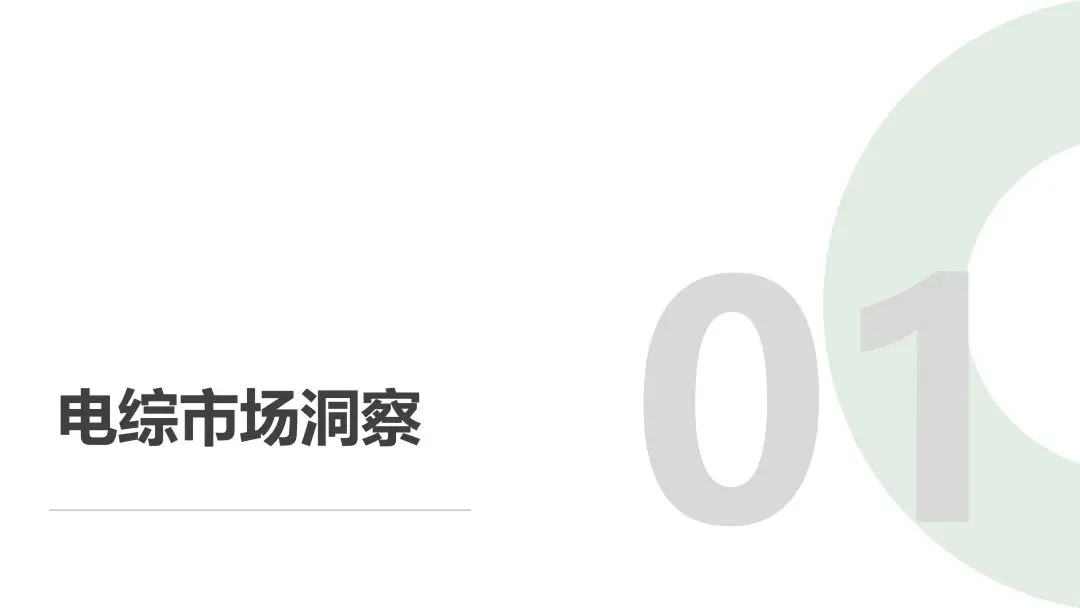 23页 | 2025年综艺市场洞察报告