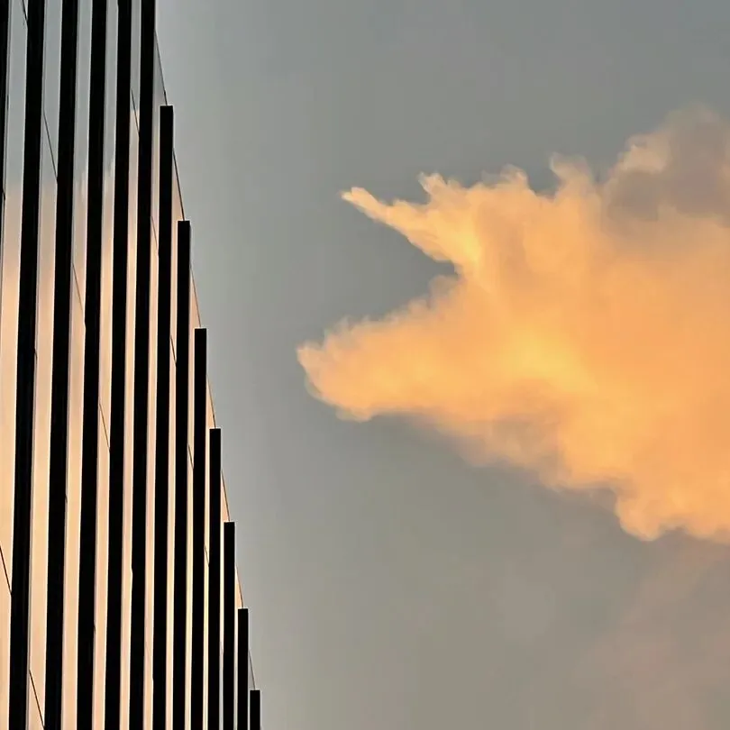 【友爱情感】当代相亲市场的顶流:前额叶友好型伴侣