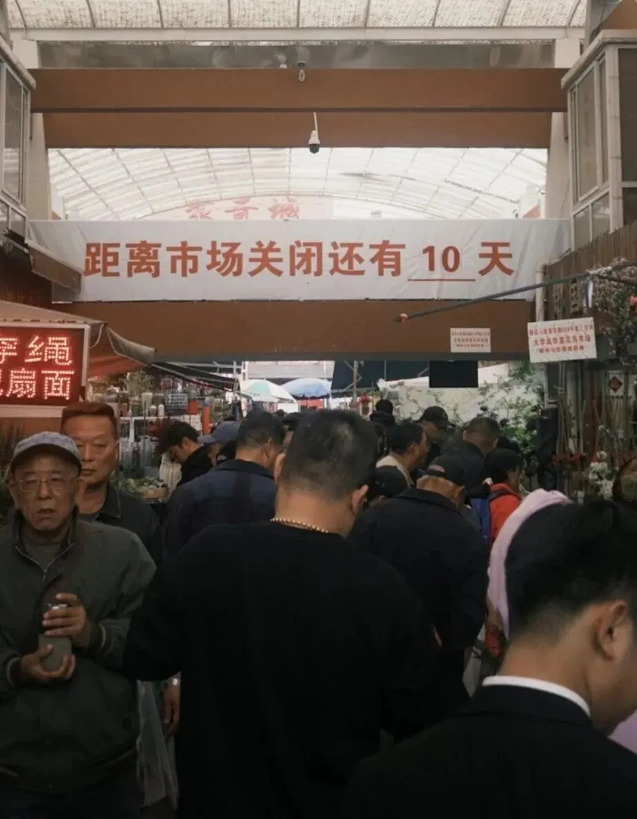 上海市中心规模最大花鸟市场即将关闭!天天有人赶来“捡漏”!2/3的商户明确新去向,已启动搬迁