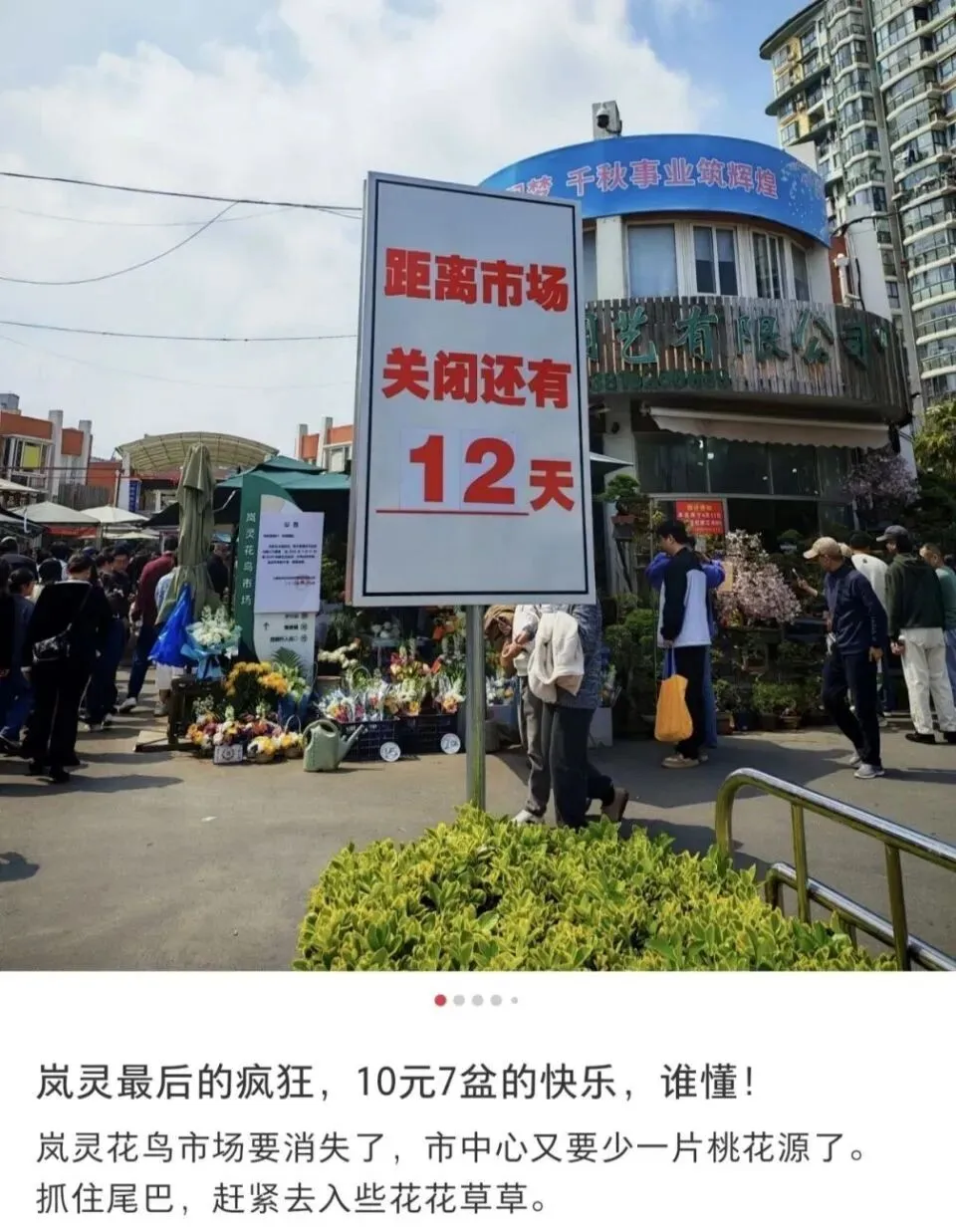 上海市中心规模最大花鸟市场即将关闭!天天有人赶来“捡漏”!2/3的商户明确新去向,已启动搬迁