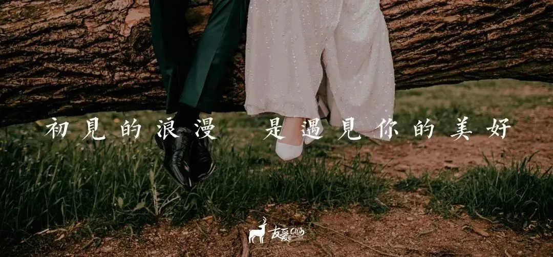 【友爱情感】当代相亲市场的顶流:前额叶友好型伴侣