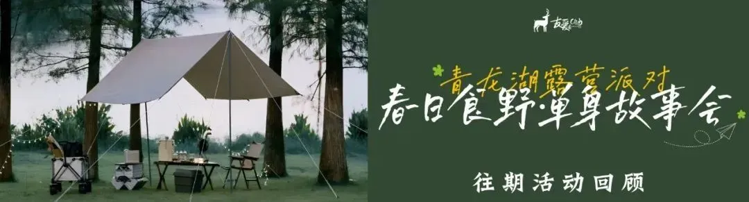 【友爱情感】当代相亲市场的顶流:前额叶友好型伴侣