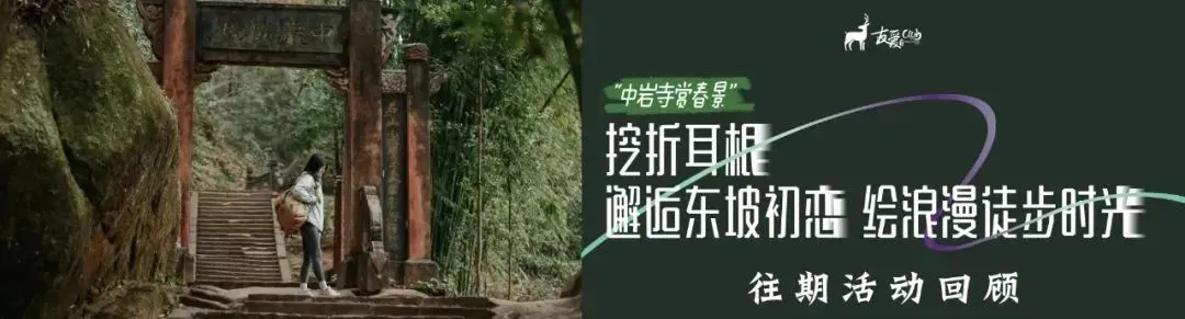 【友爱情感】当代相亲市场的顶流:前额叶友好型伴侣