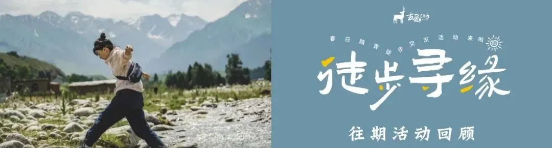 【友爱情感】当代相亲市场的顶流:前额叶友好型伴侣