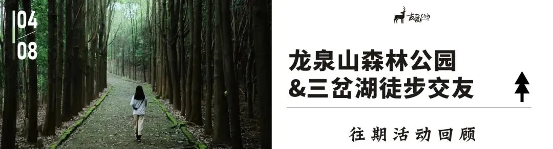 【友爱情感】当代相亲市场的顶流:前额叶友好型伴侣