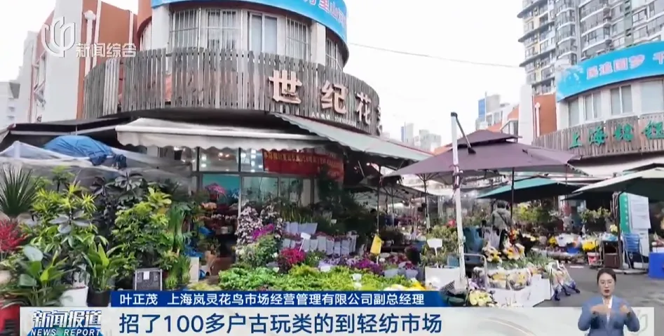 上海市中心规模最大花鸟市场即将关闭!天天有人赶来“捡漏”!2/3的商户明确新去向,已启动搬迁