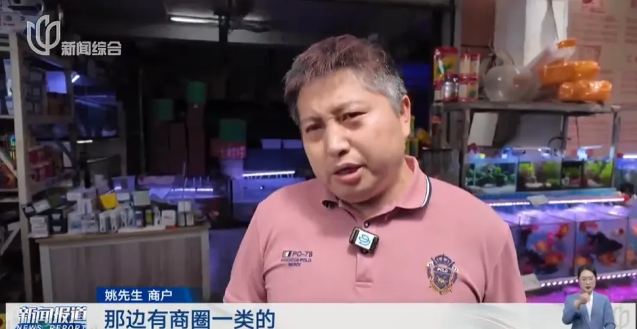 上海市中心规模最大花鸟市场即将关闭!天天有人赶来“捡漏”!2/3的商户明确新去向,已启动搬迁