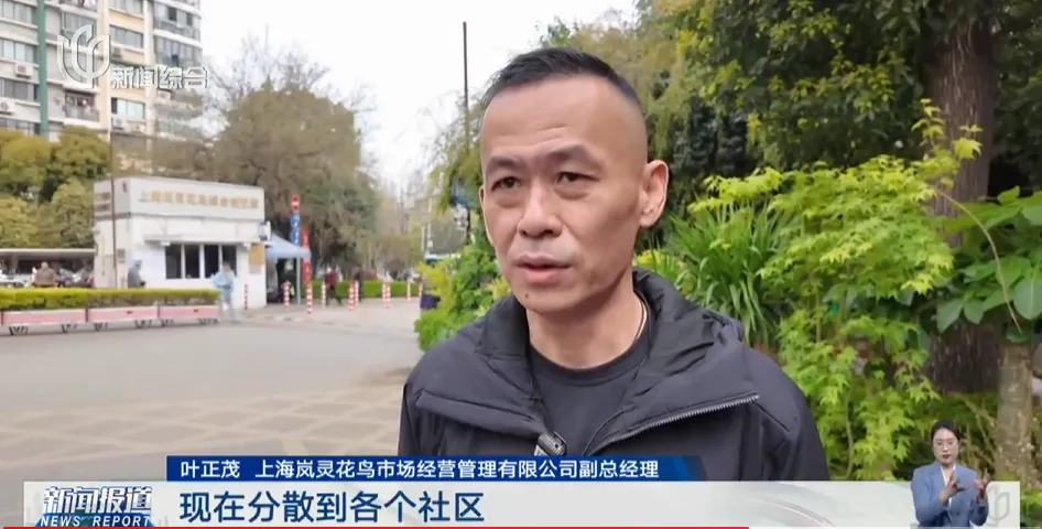 上海市中心规模最大花鸟市场即将关闭!天天有人赶来“捡漏”!2/3的商户明确新去向,已启动搬迁