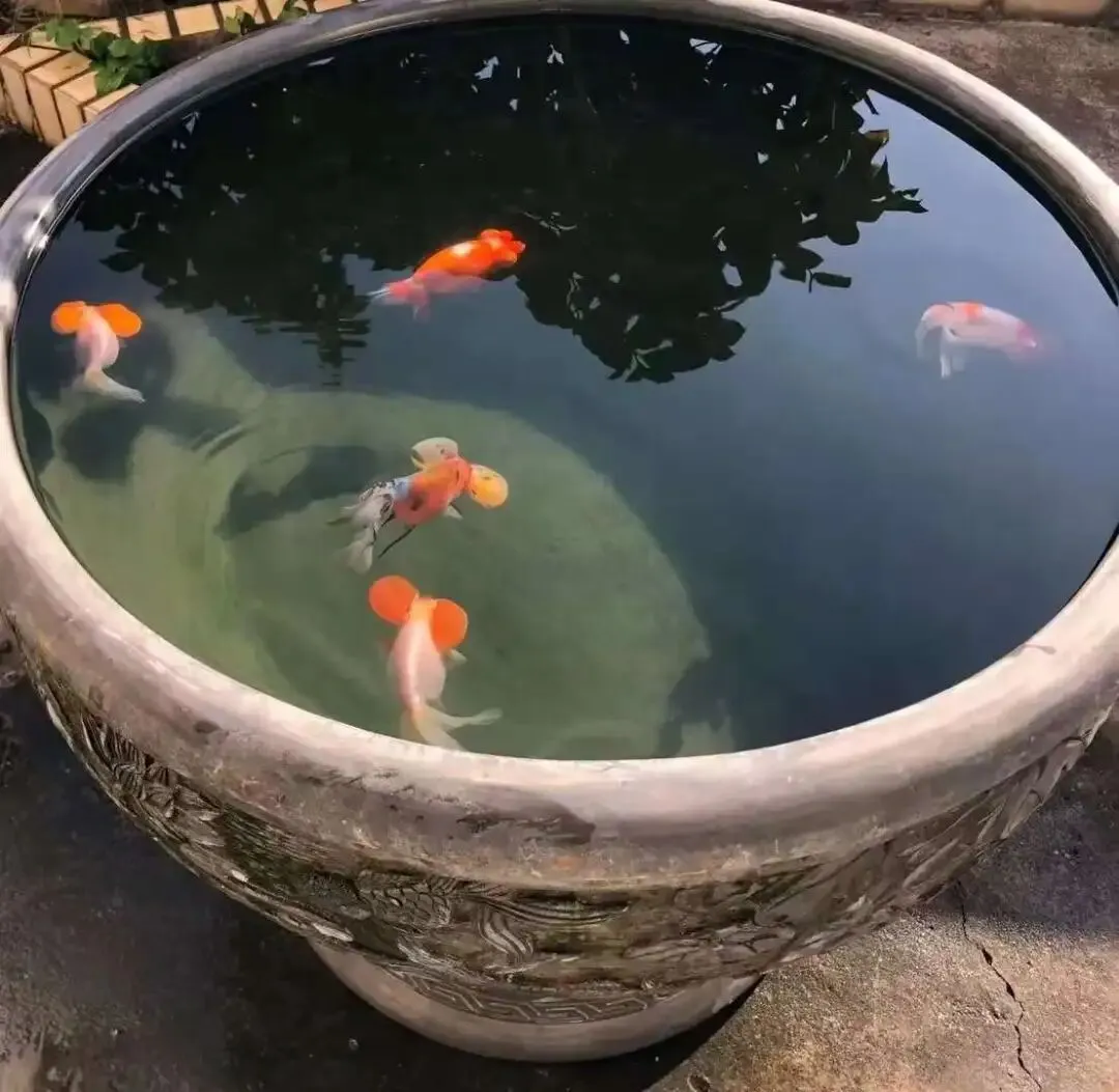 如今市场老了我也老了