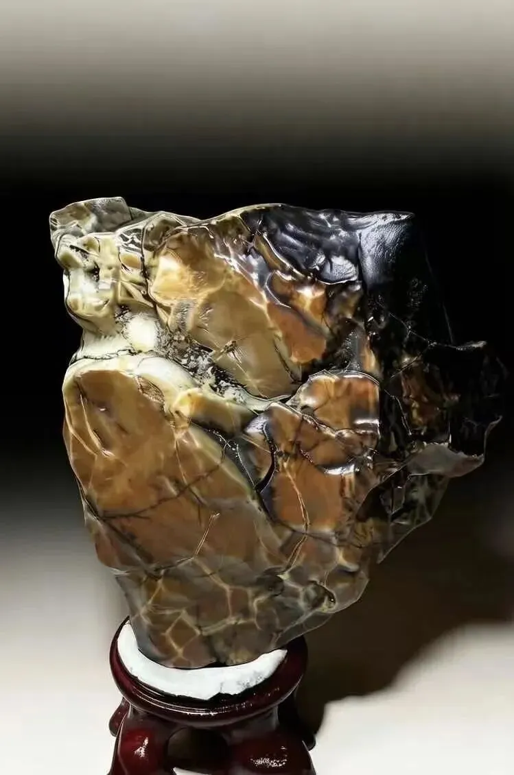 如今市场老了我也老了