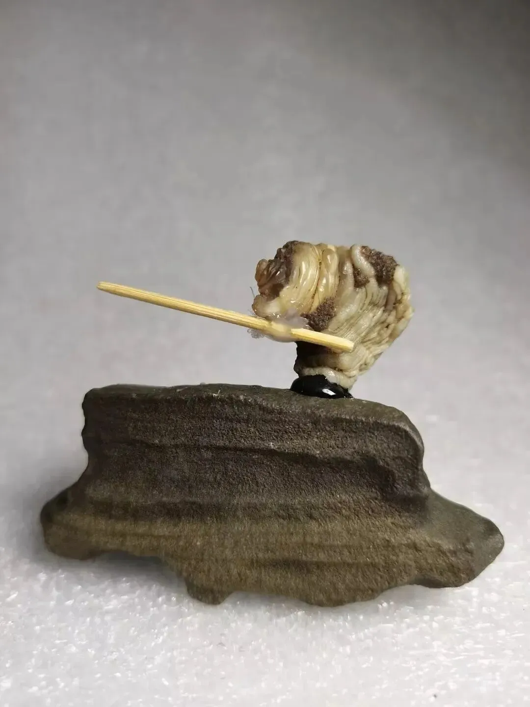 如今市场老了我也老了