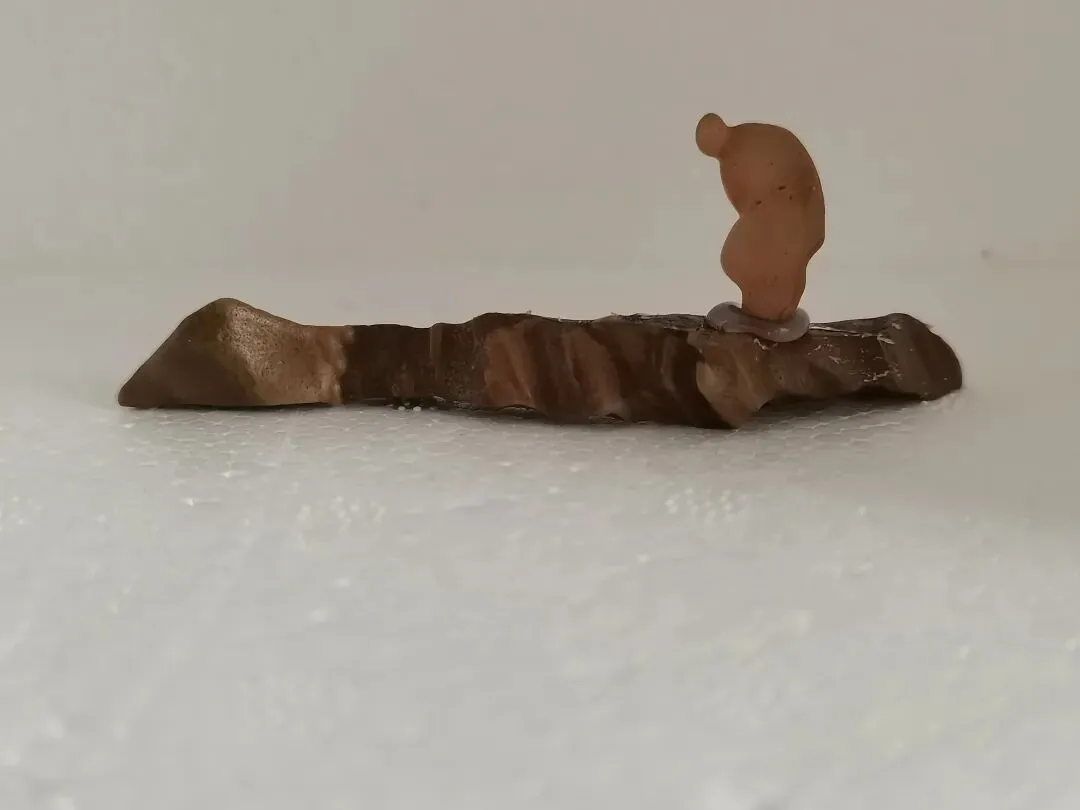 如今市场老了我也老了