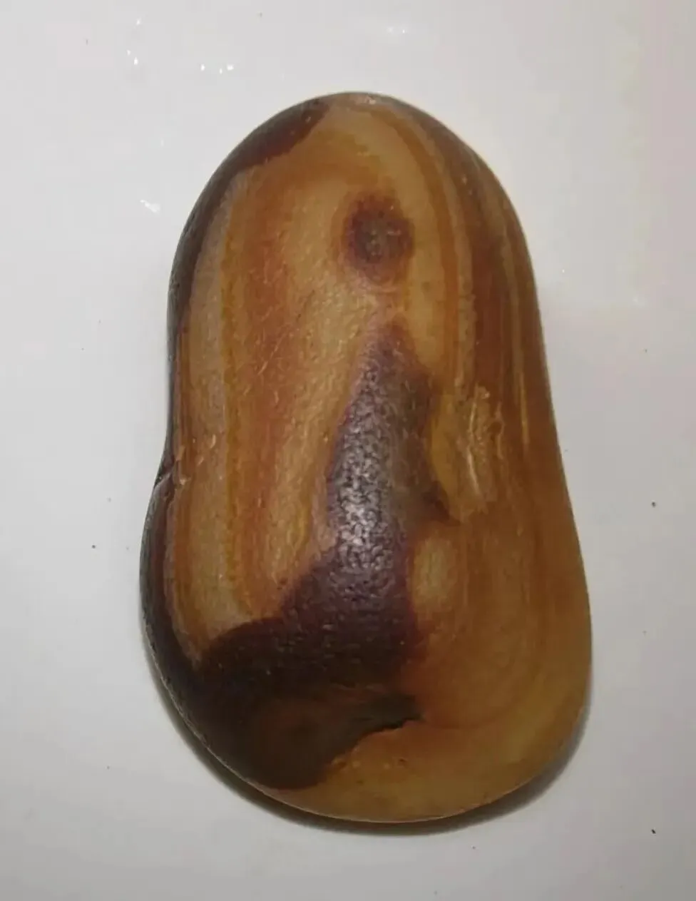 如今市场老了我也老了