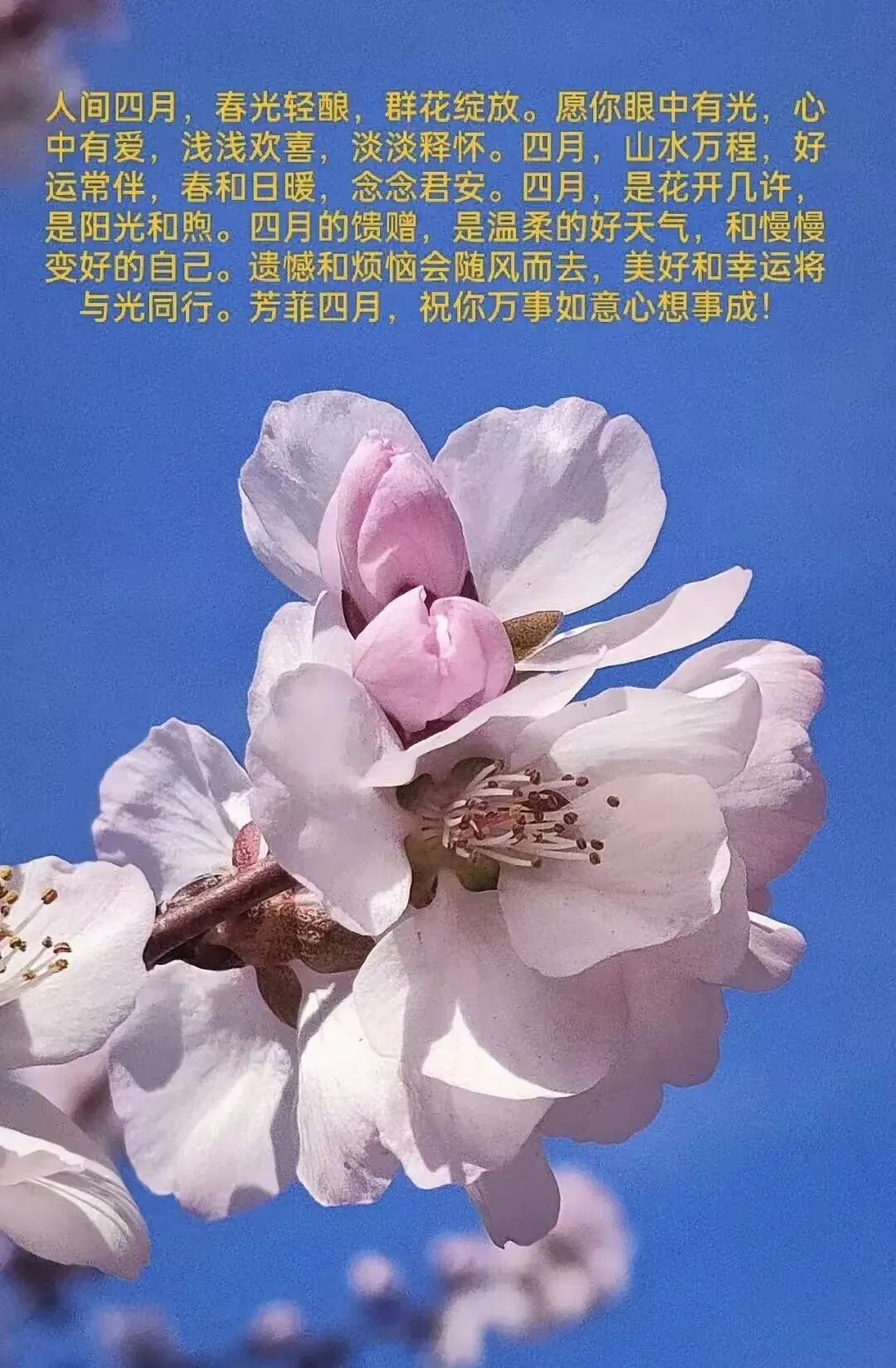 如今市场老了我也老了