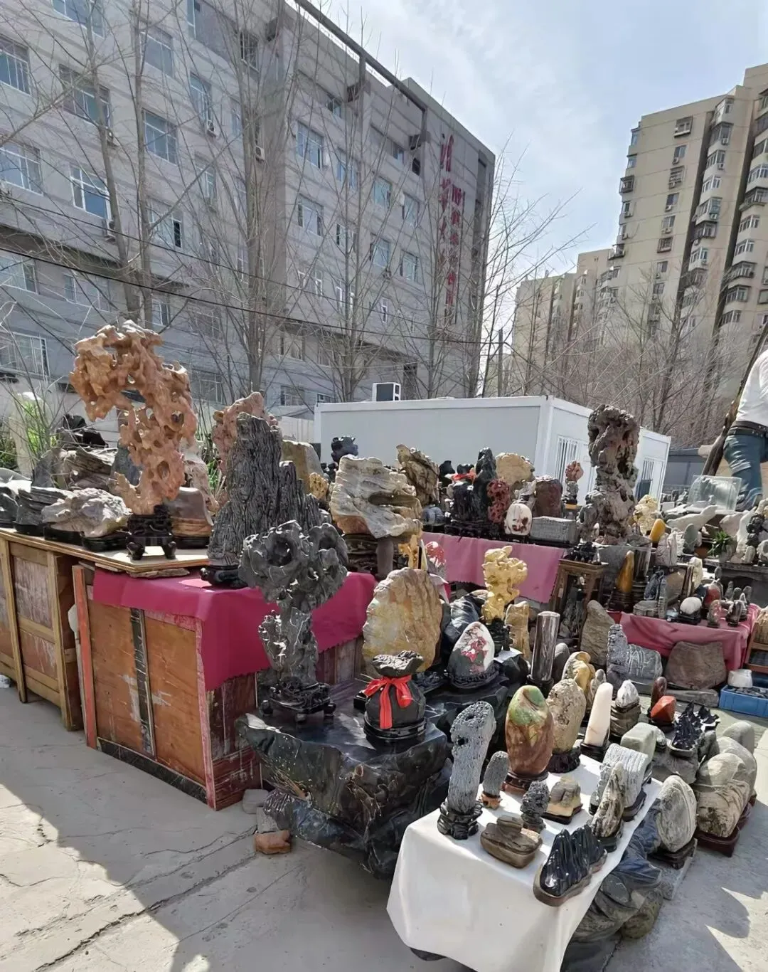 如今市场老了我也老了