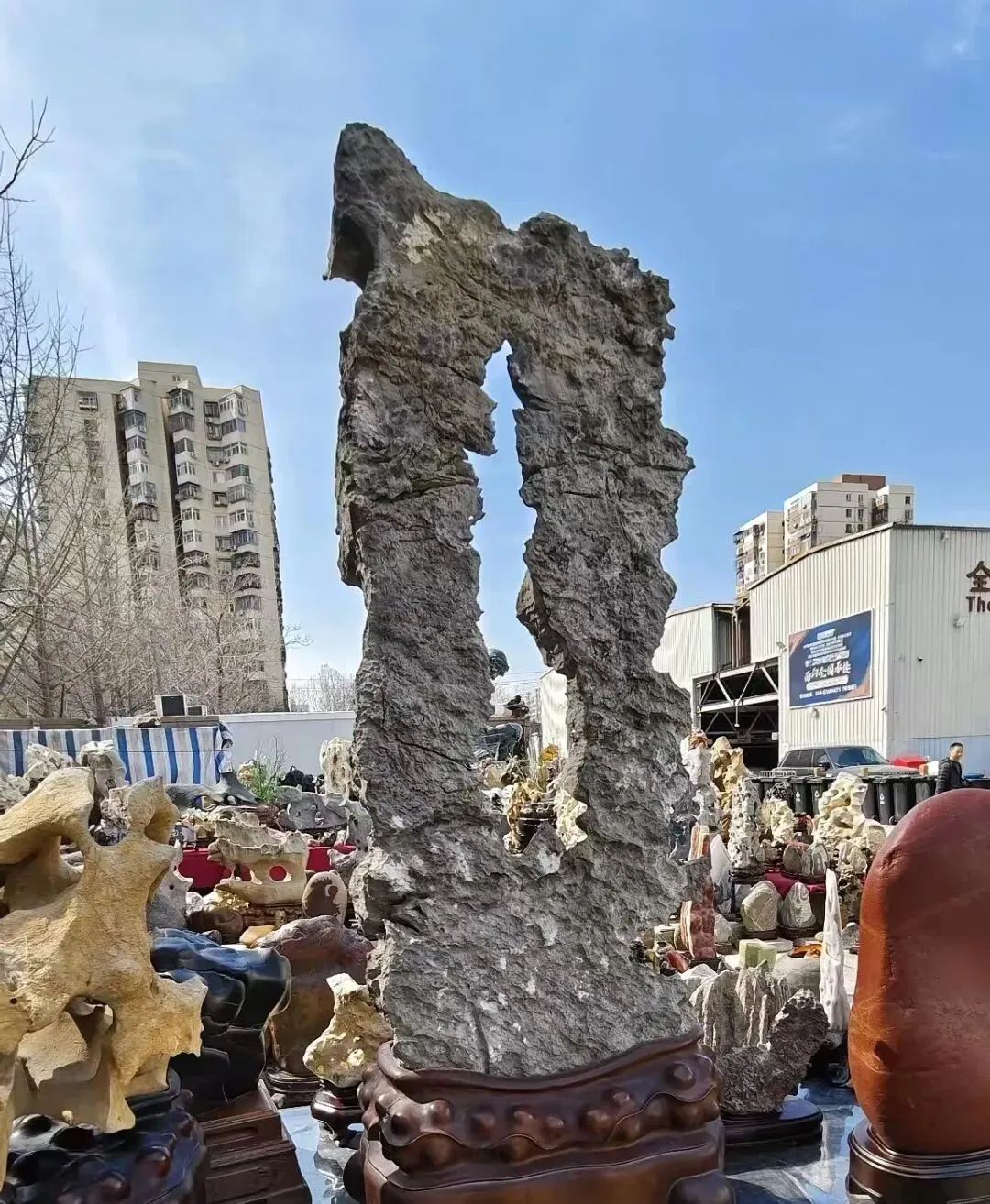 如今市场老了我也老了